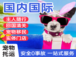 沈阳桃仙航空货运国际宠物托运 【国